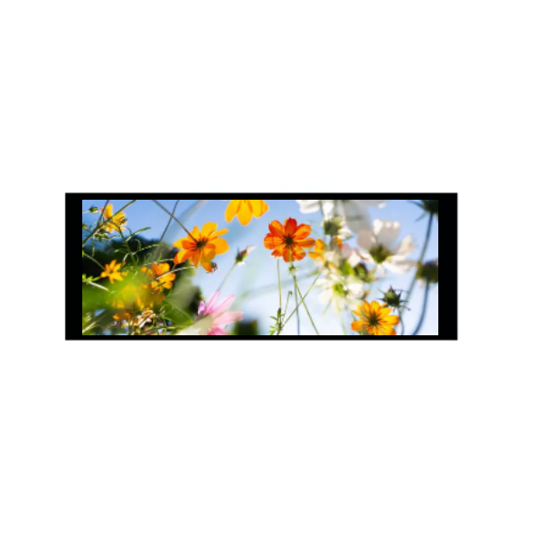 6,86 pouces 480 × 1280 IPS TFT