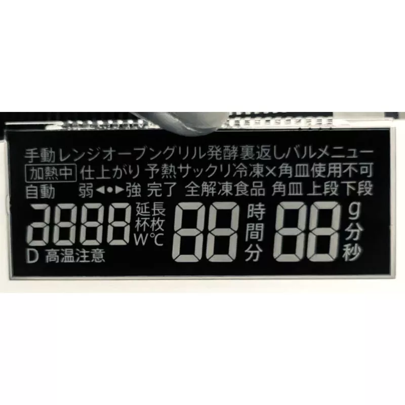 Module LCD du segment VA